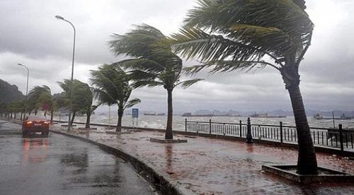North Cyprus News - Gale force winds - Cyprus