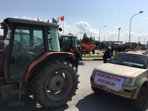 North Cyprus News - Farmers protest - Tractors